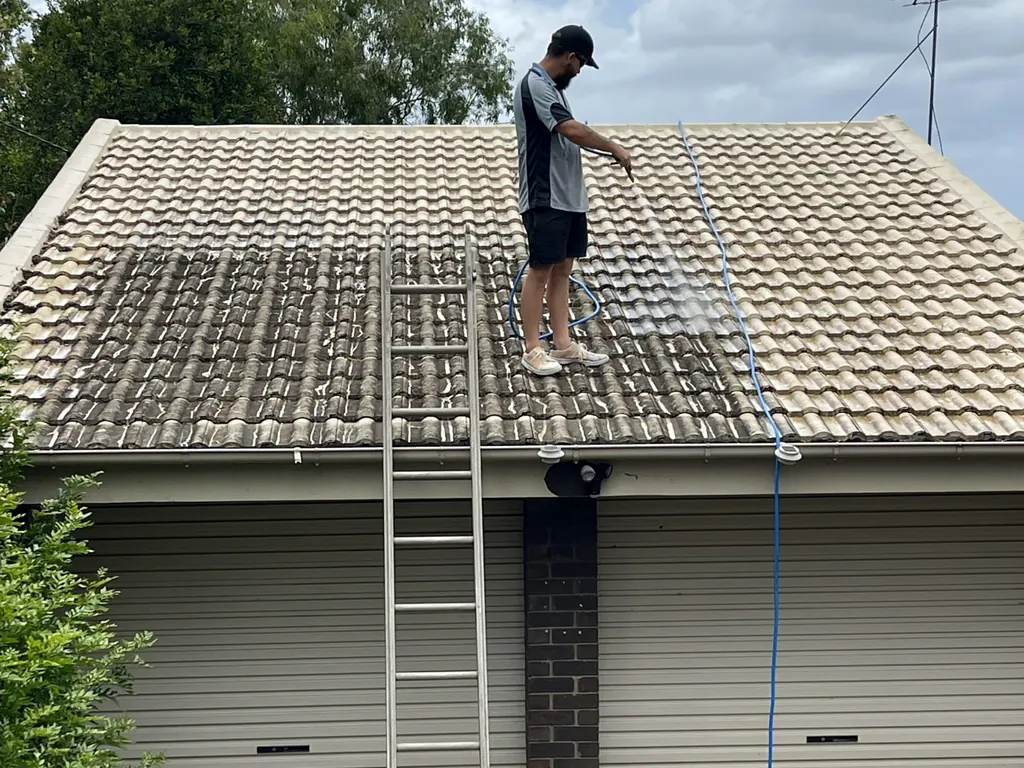 Roof cleaning and soft washing