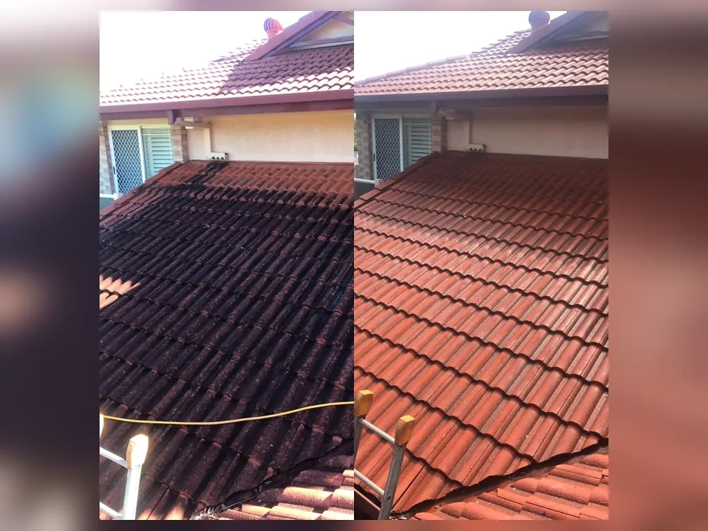 Terracotta tile roof before and after professional cleaning
