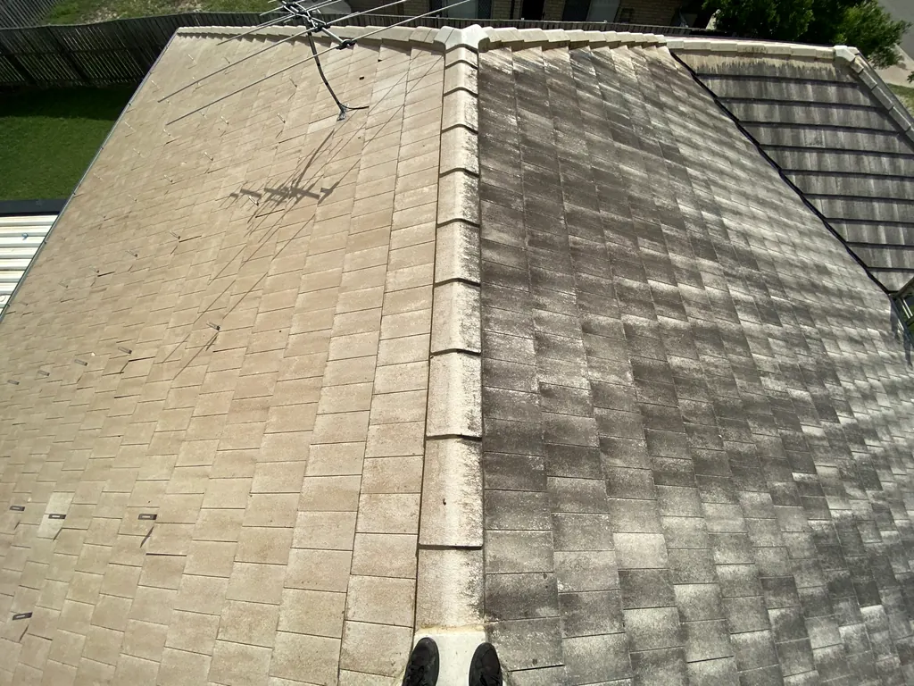Tiled roof showing professional cleaning progress