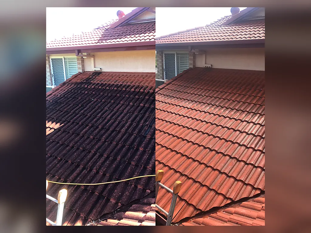 Terracotta tiled roof before and after roof cleaning