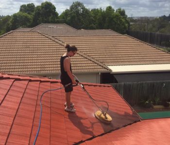 roof cleaning logan