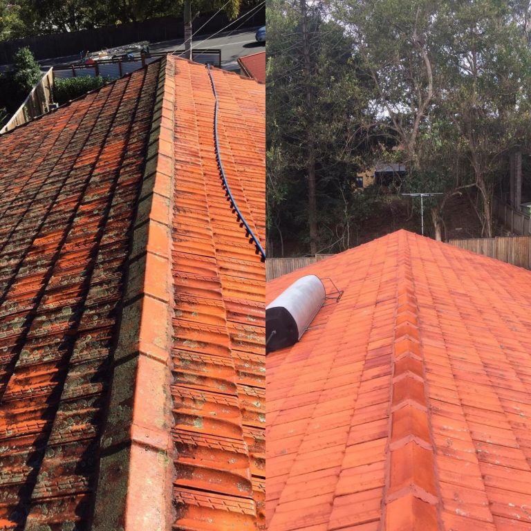 Roof Cleaning examples