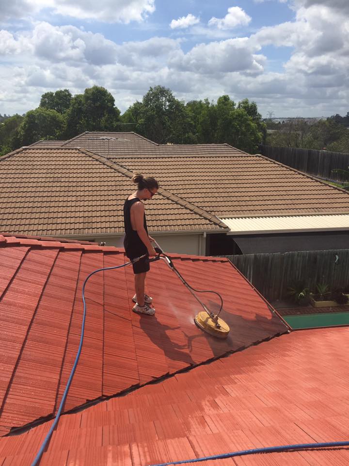 Roof Cleaning examples