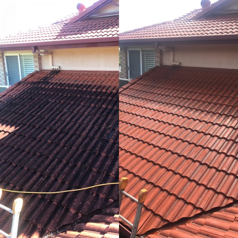 roof cleaning and house washing